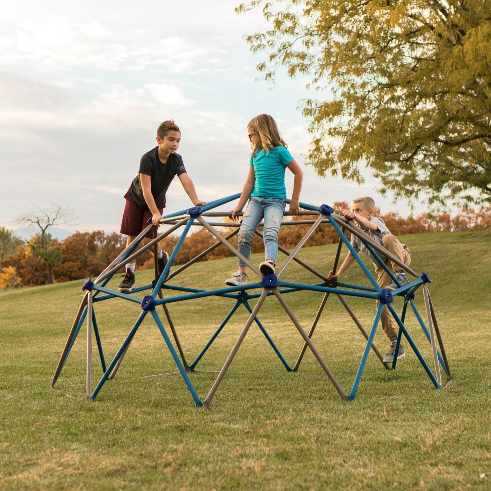 Lifetime Klettergerüst Geodome Braun/Blau