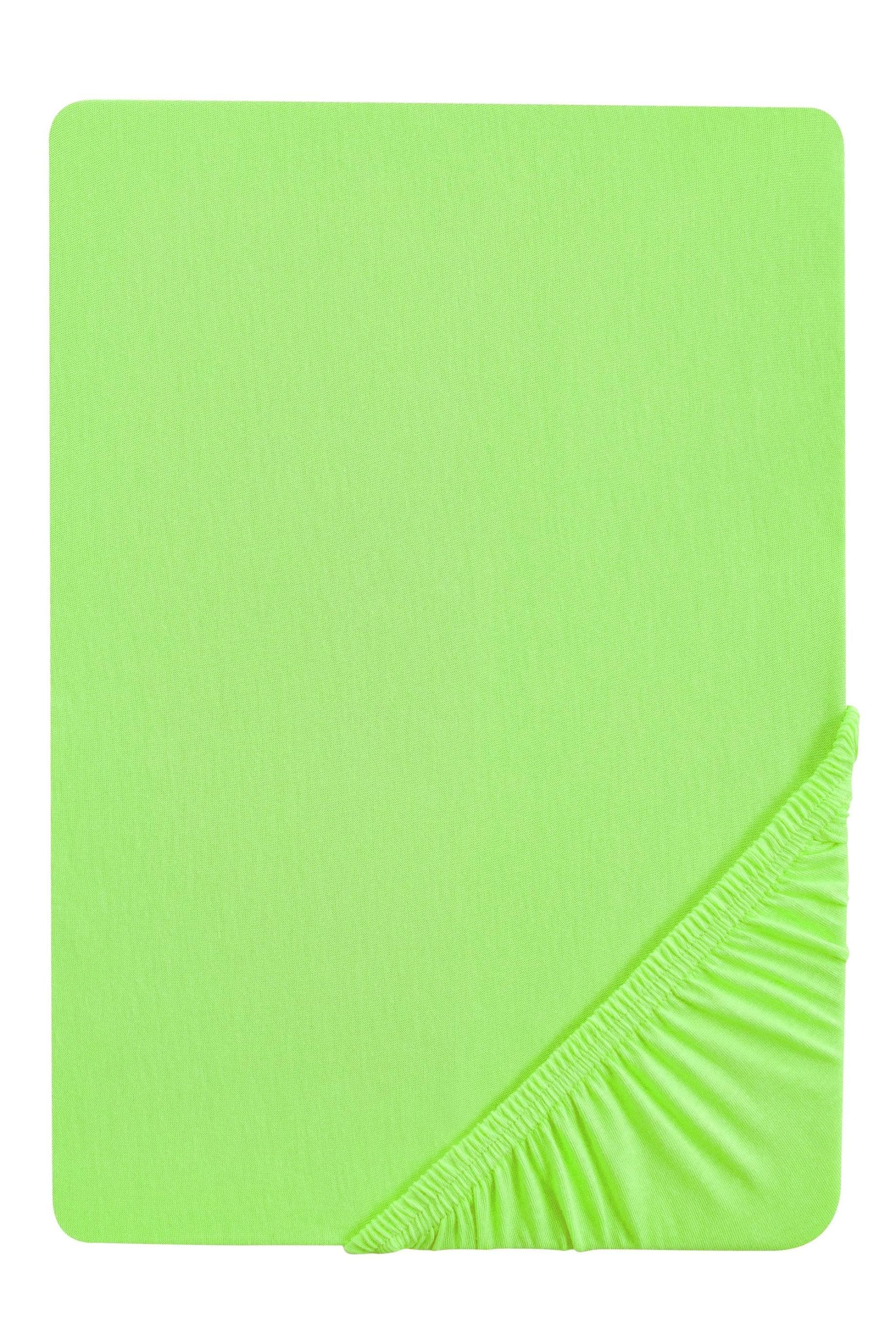 Biberna Spannbettlaken Leila: Jersey, Gummizug, Baumwolle