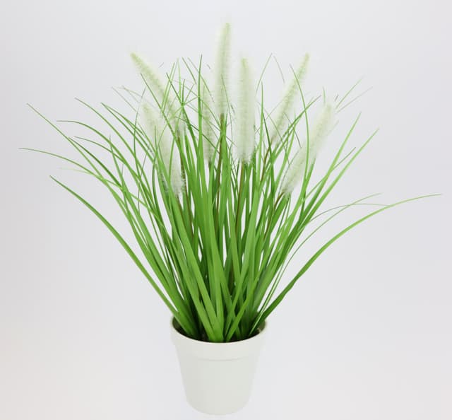Kunstpflanze Fuchsschwanzgras im Topf von I.GE.A.: Pflegeleicht & Dekorativ