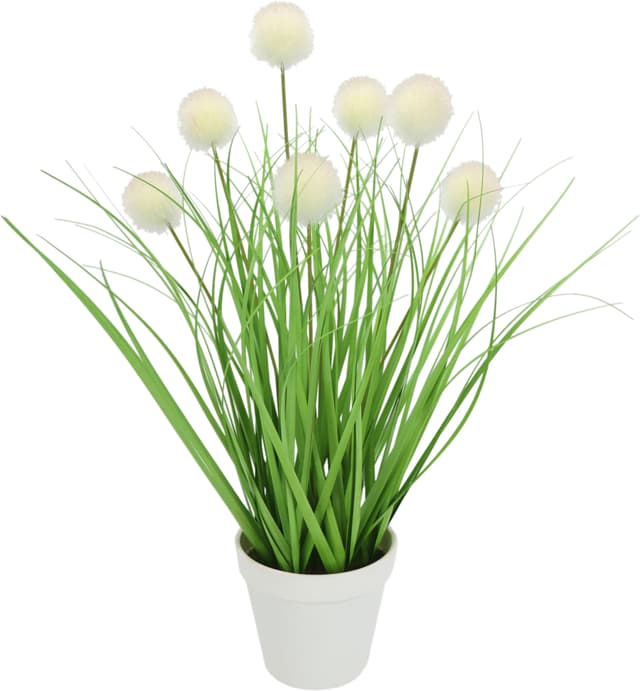 Kunstpflanze Knopfgras im Topf von I.GE.A. - Naturgetreu & Pflegeleicht