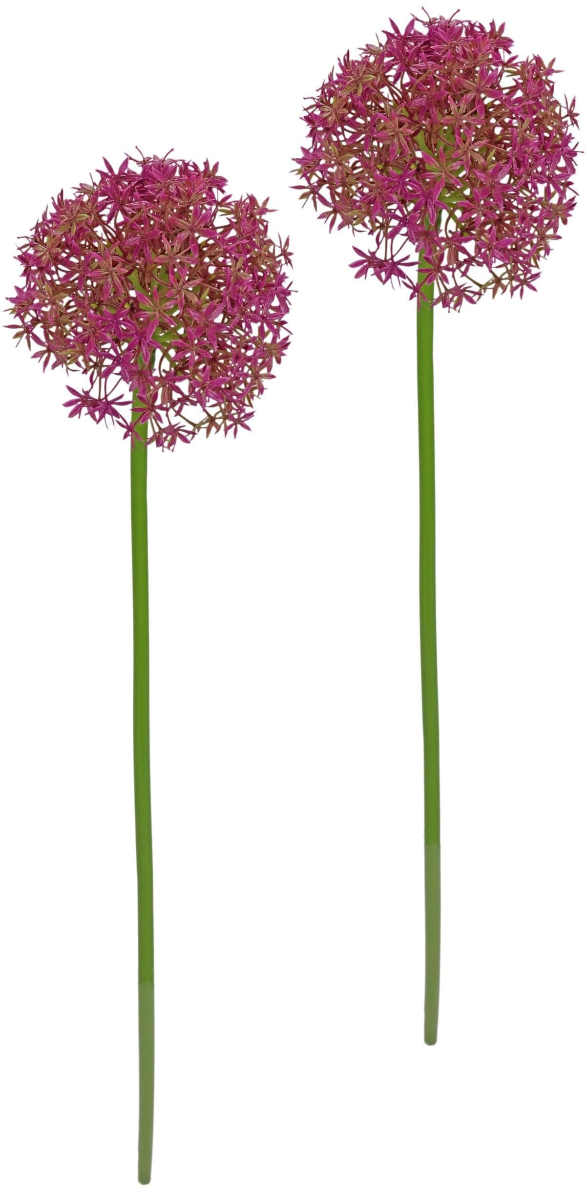 Kunstblumen Allium Zierlauch von I.GE.A. - Naturgetreue Dekoration in 2er Set