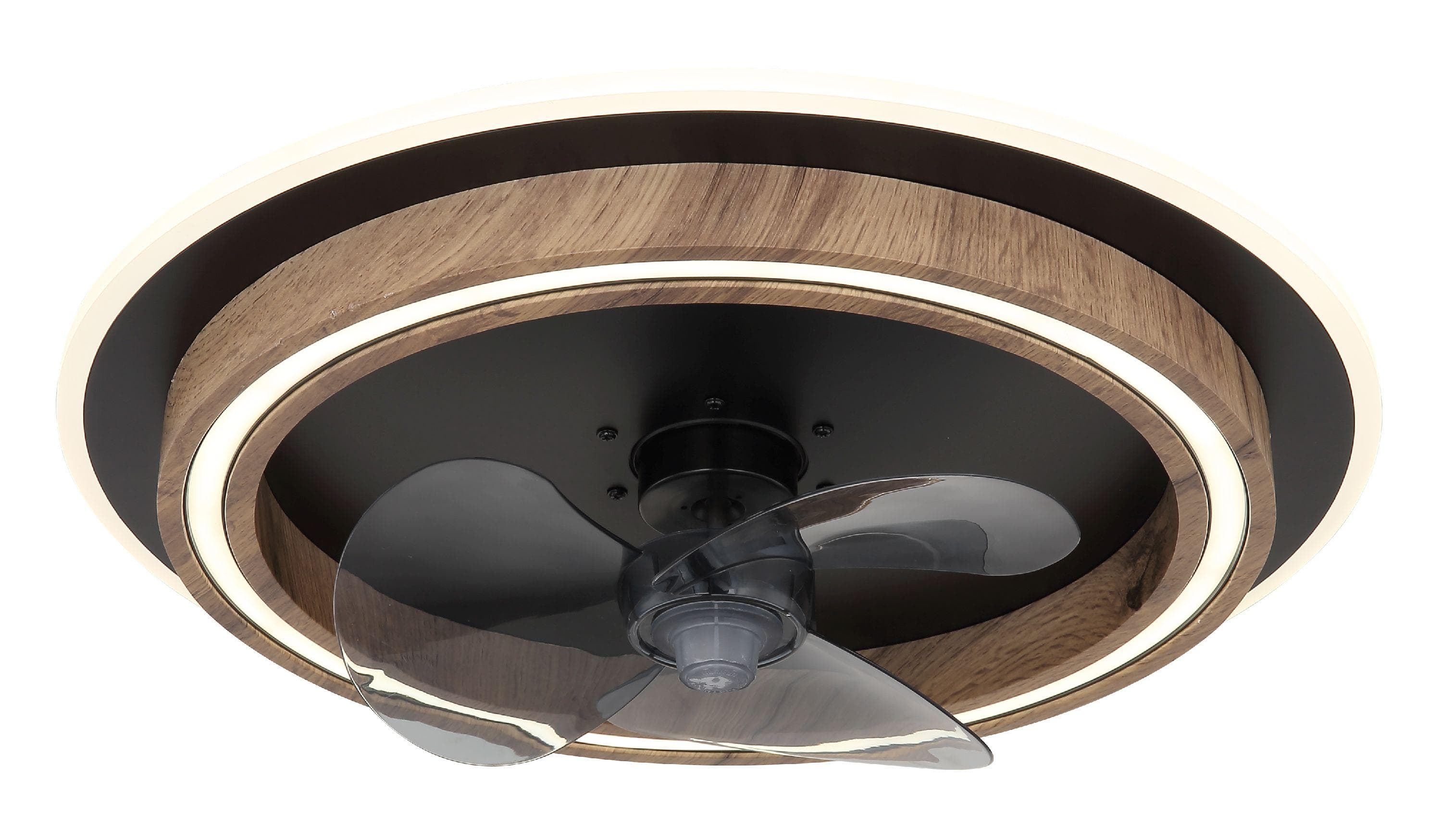 GLOBO LIGHTING BOZAN Deckenventilator: LED Beleuchtung, Timerfunktion, Schwarz Matt
