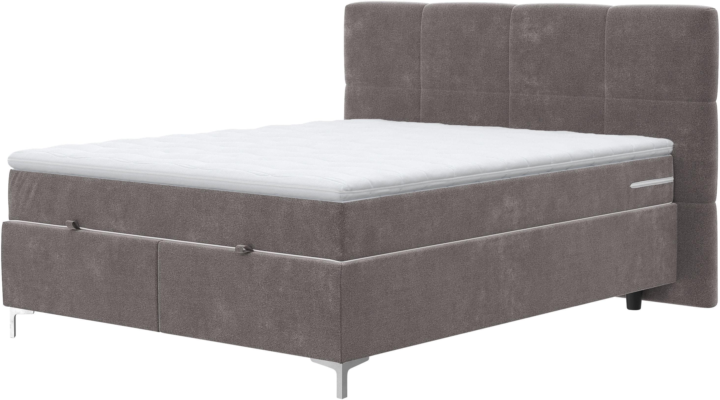 Boxbett COTTA Kimy inkl. Bettkasten Grau Taschen-Federkernmatratze