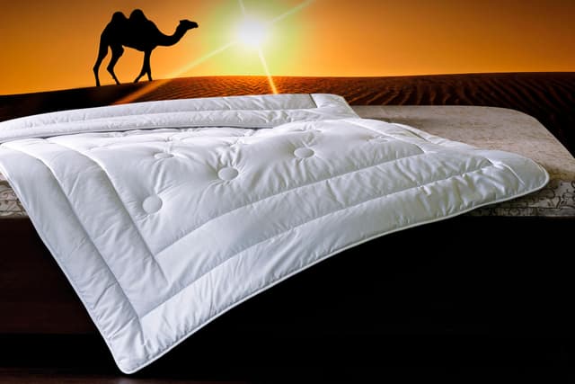 billerbeck Kamelhaar Bettdecke Natur Classic - Satin Baumwolle