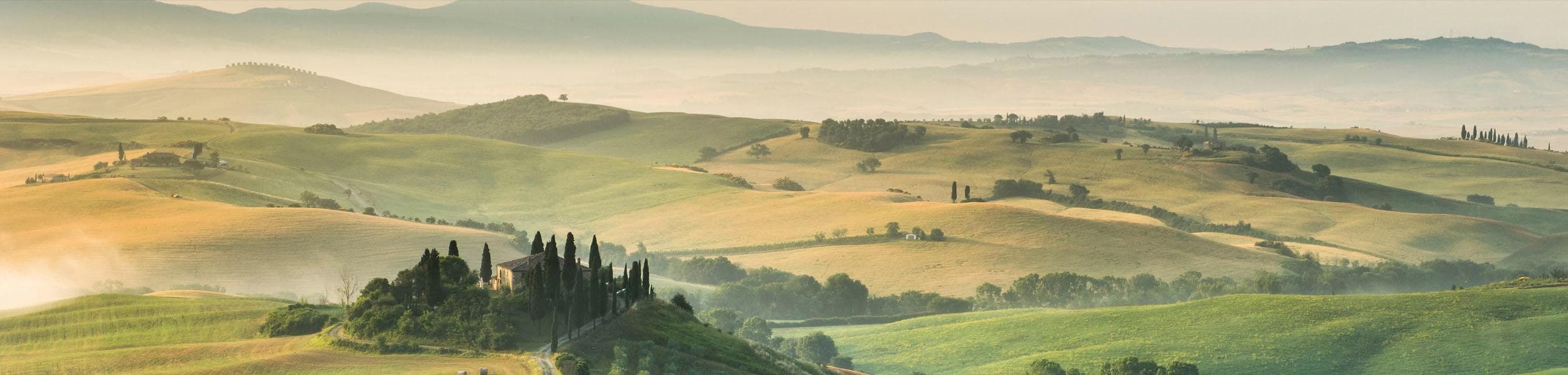 Küchenrückwand 'Toscana' Grün Holzwerkstoff Landschaft