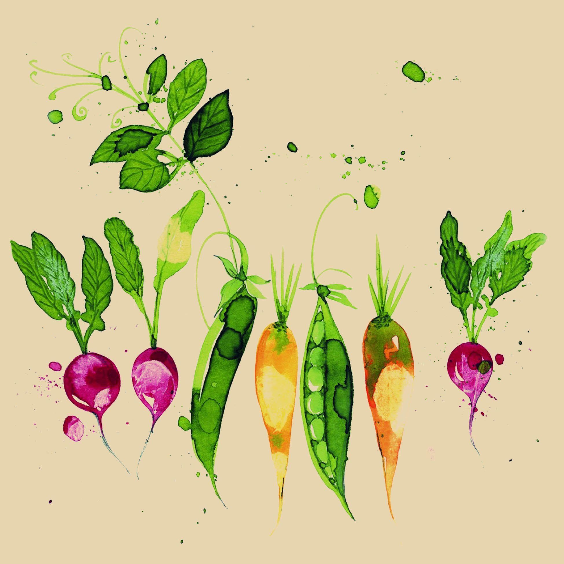 Ostermann Servietten GREEN VEGETABLE 20 Stück