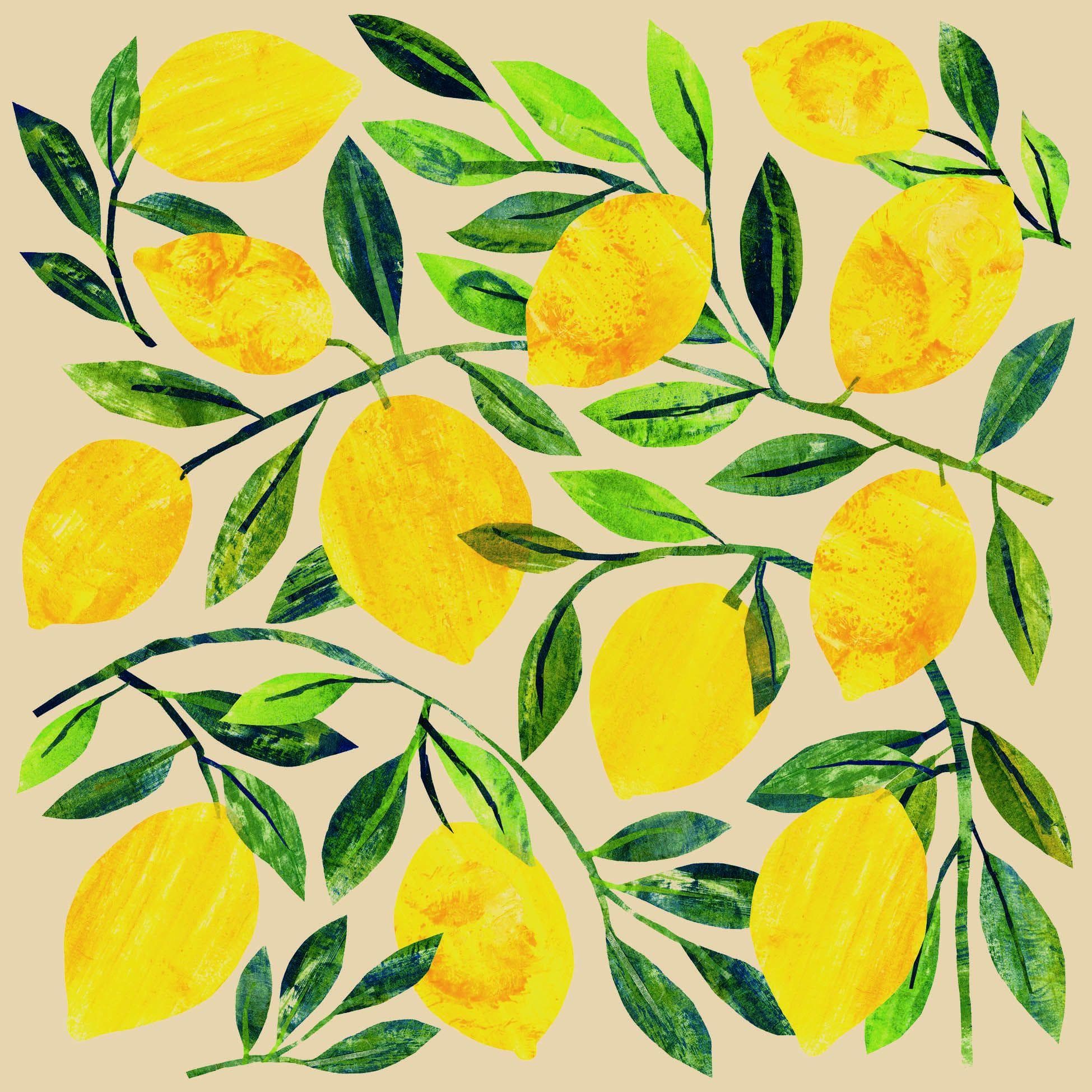 Ostermann Servietten CITRONELLA 20 Stück 3-Lagig