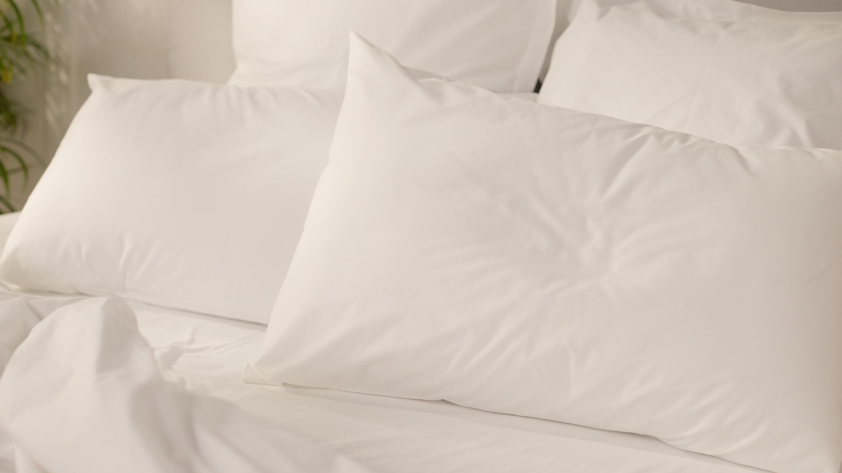 Emma Classic Kopfkissenbezüge Doppelpack