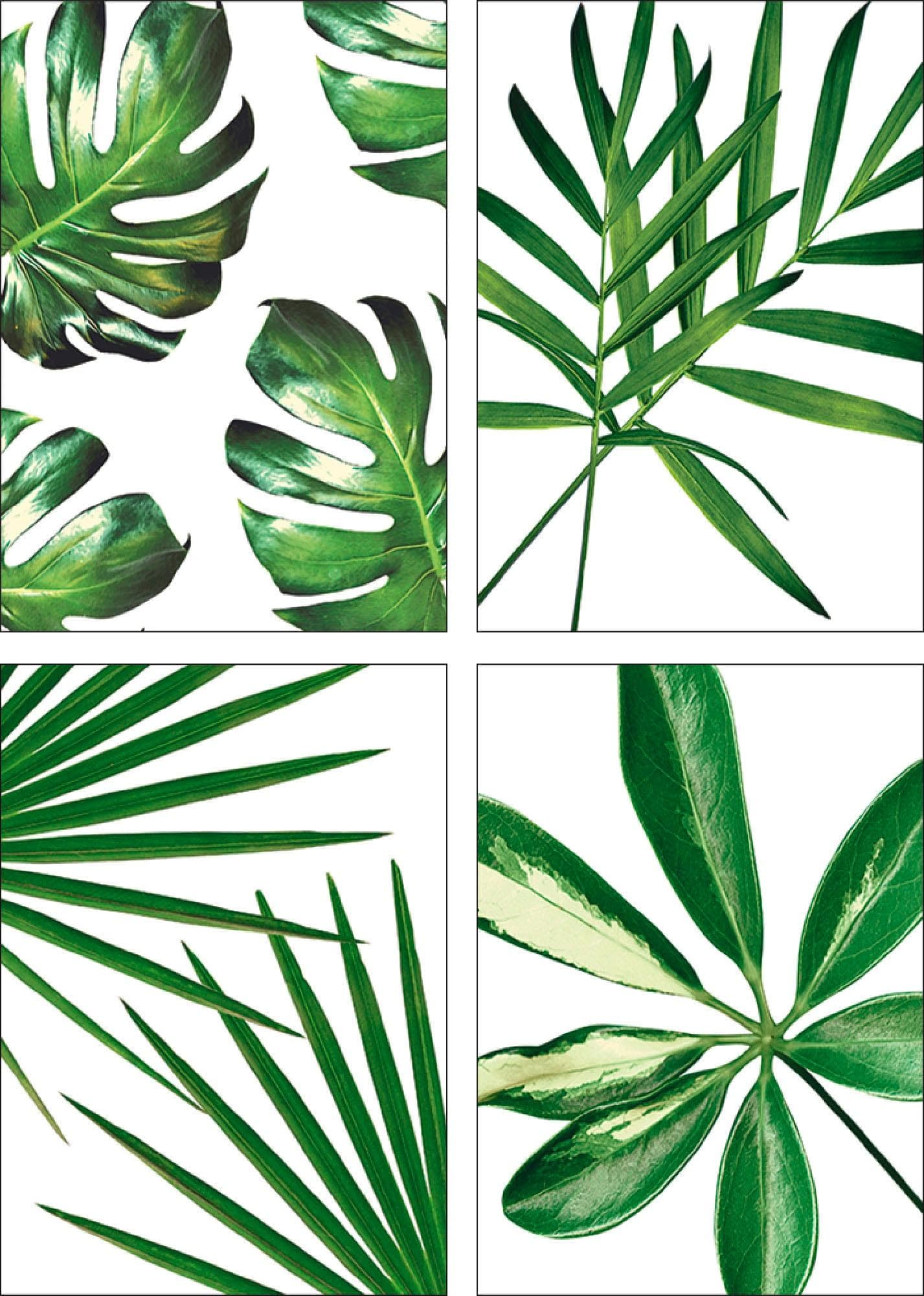 Artland Poster Blätter Grün 4er Set