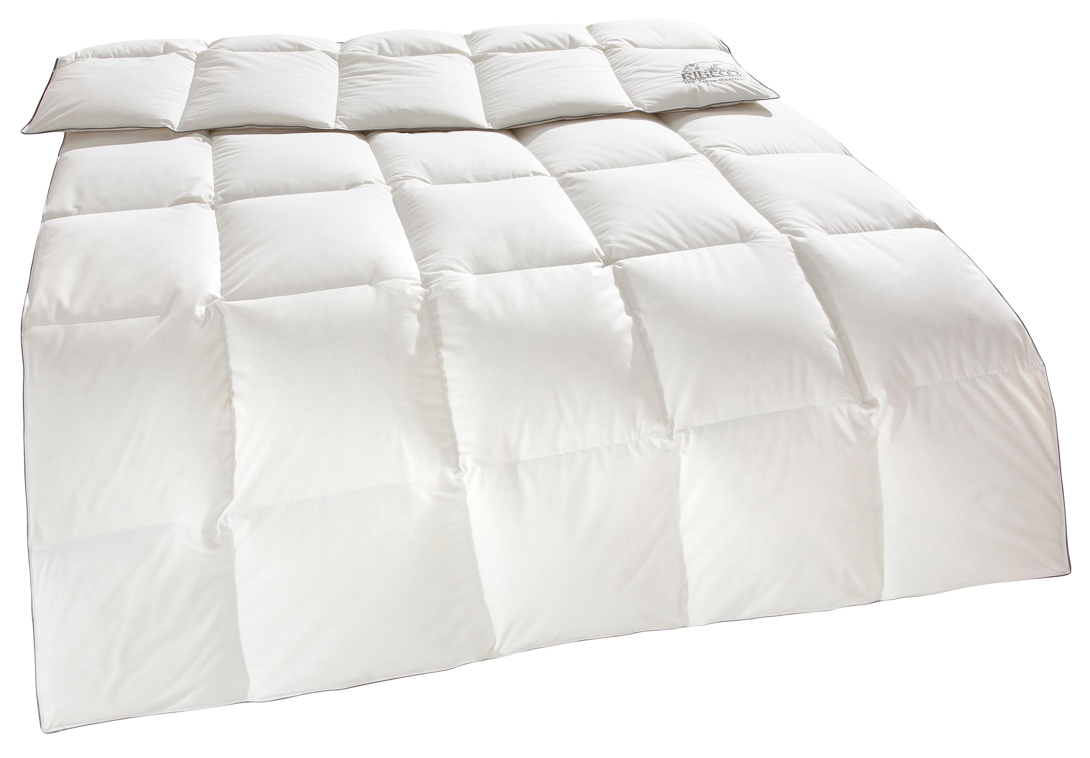 RIBECO Daunenbettdecke Eve: Jubiläumsedition mit Baumwollbezug & Platinbiese