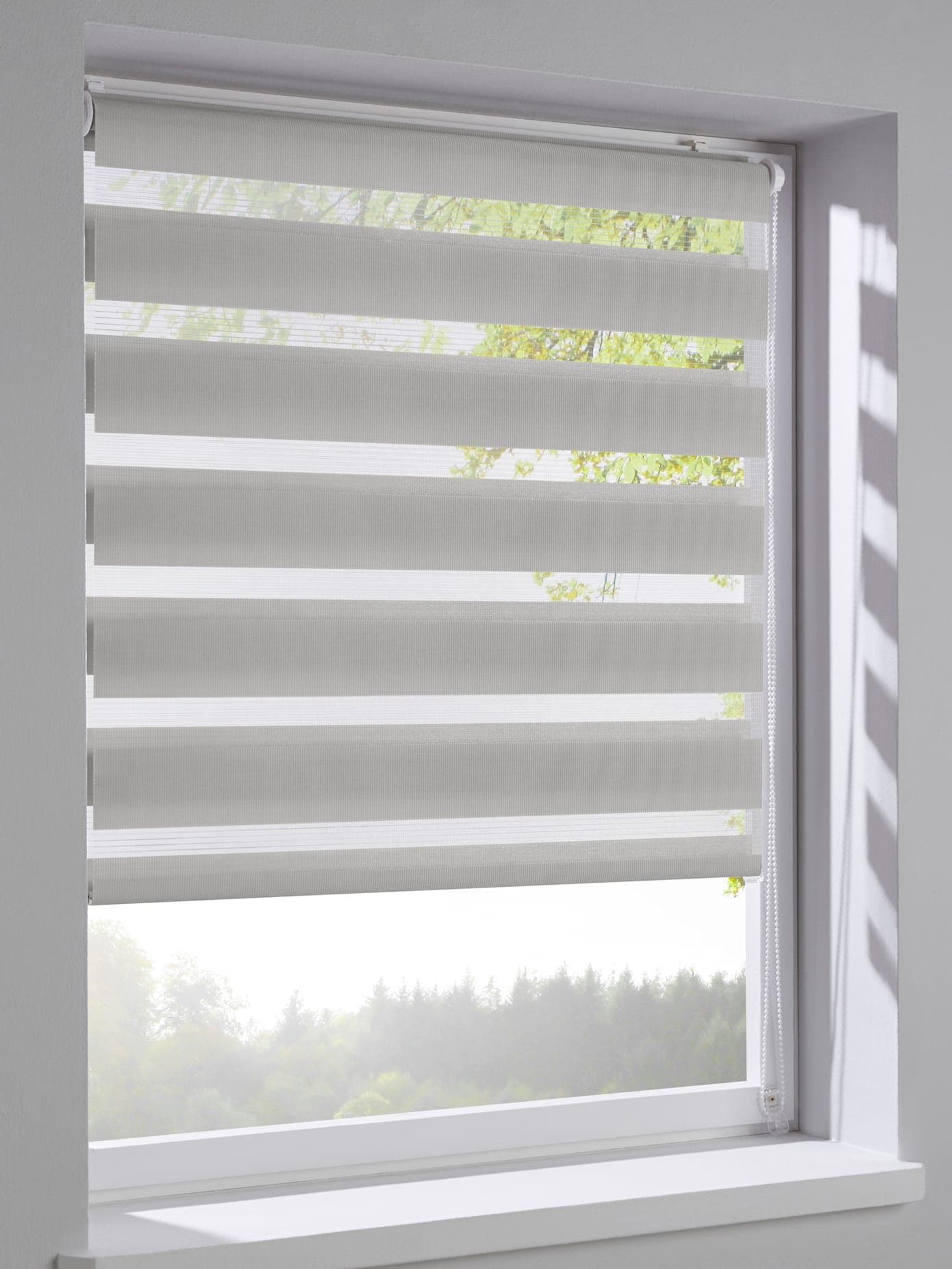 Raffrollo HEINE HOME Gr. 6 grau Doppelrollo