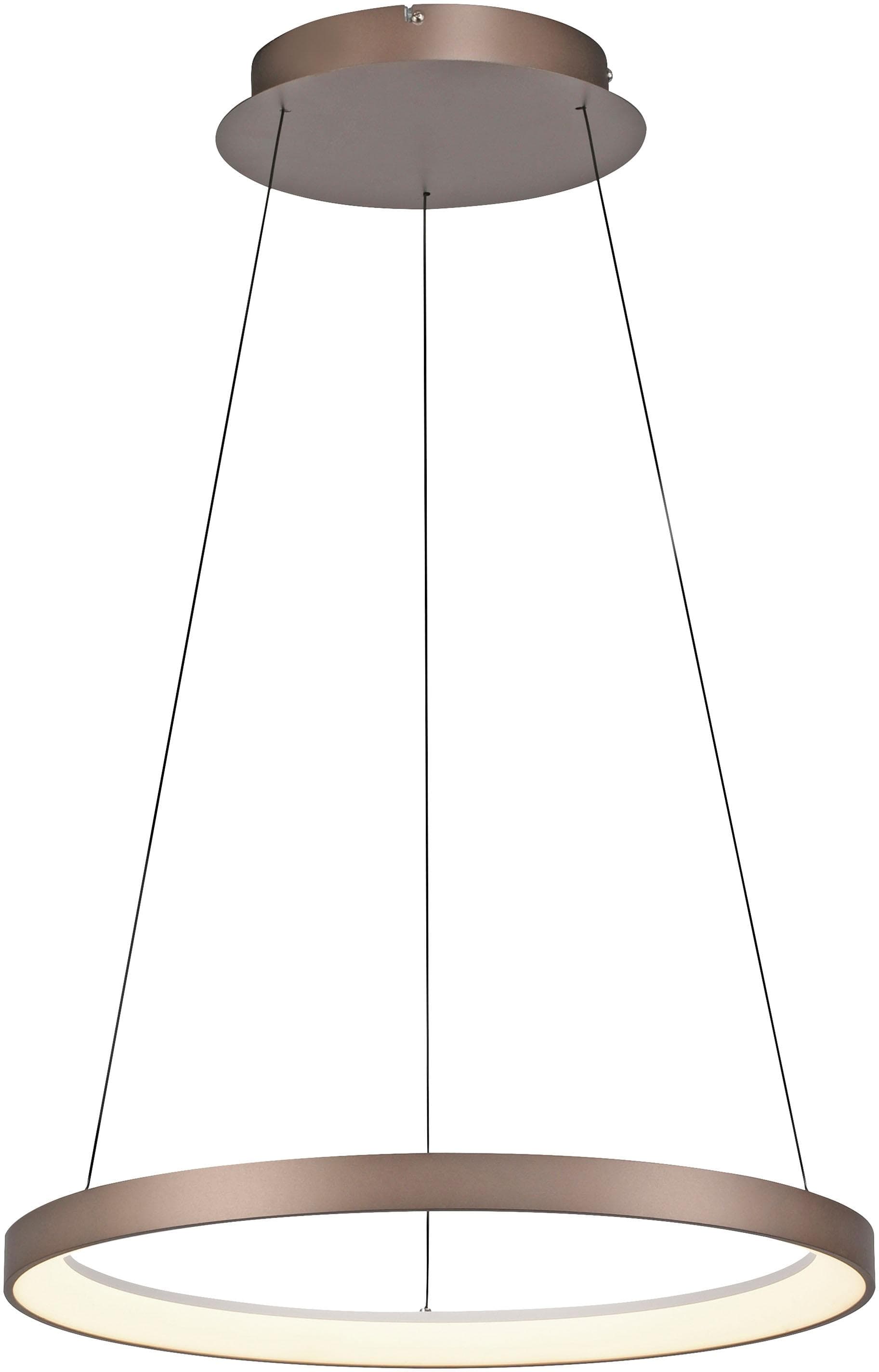 PAUL NEUHAUS HOOP LED Pendelleuchte - Dimmbar, Höhenverstellbar, Memory-Funktion