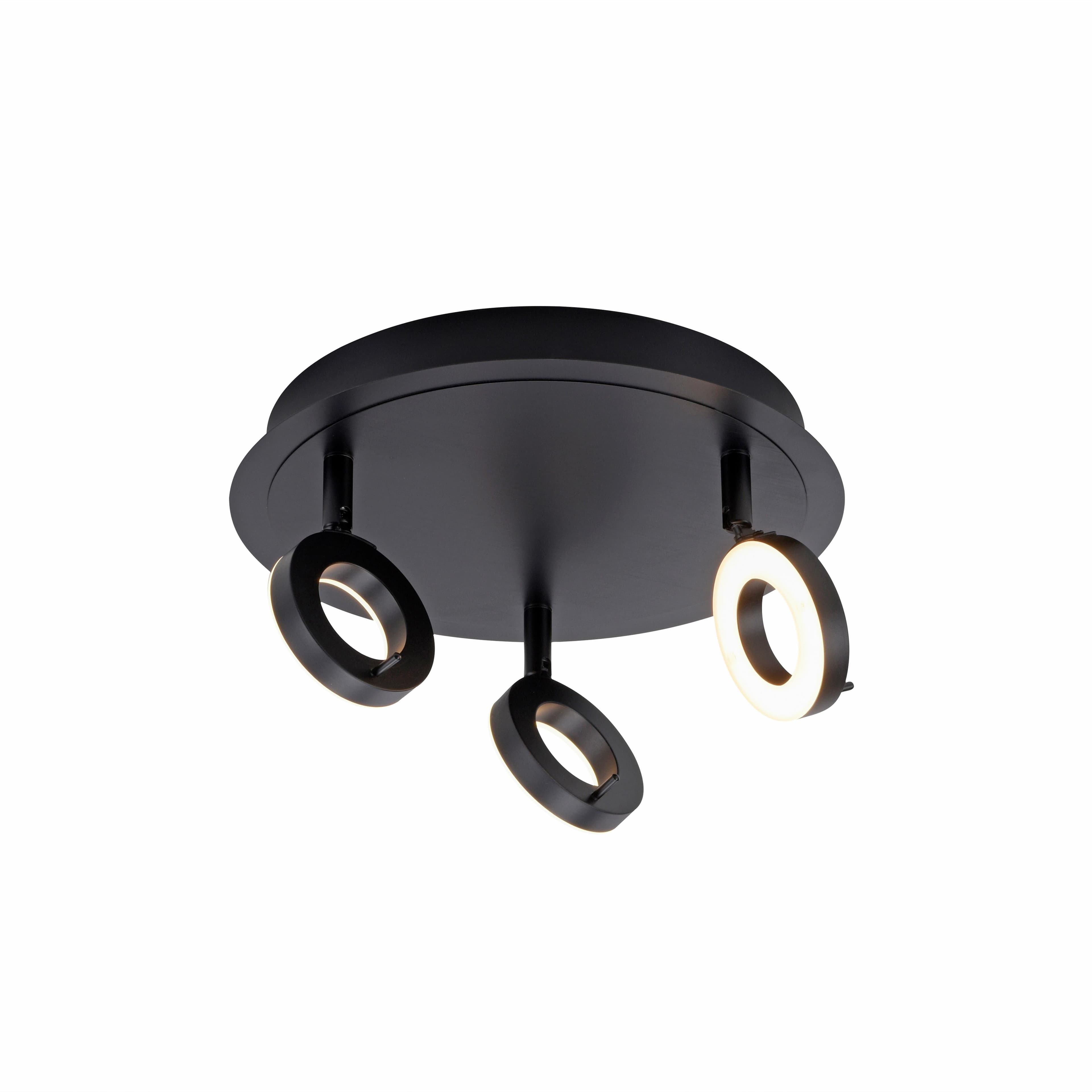 Paul Neuhaus SILEDA LED Deckenstrahler Anthrazit Acryl Stahl 3-Flammig Warmweiß