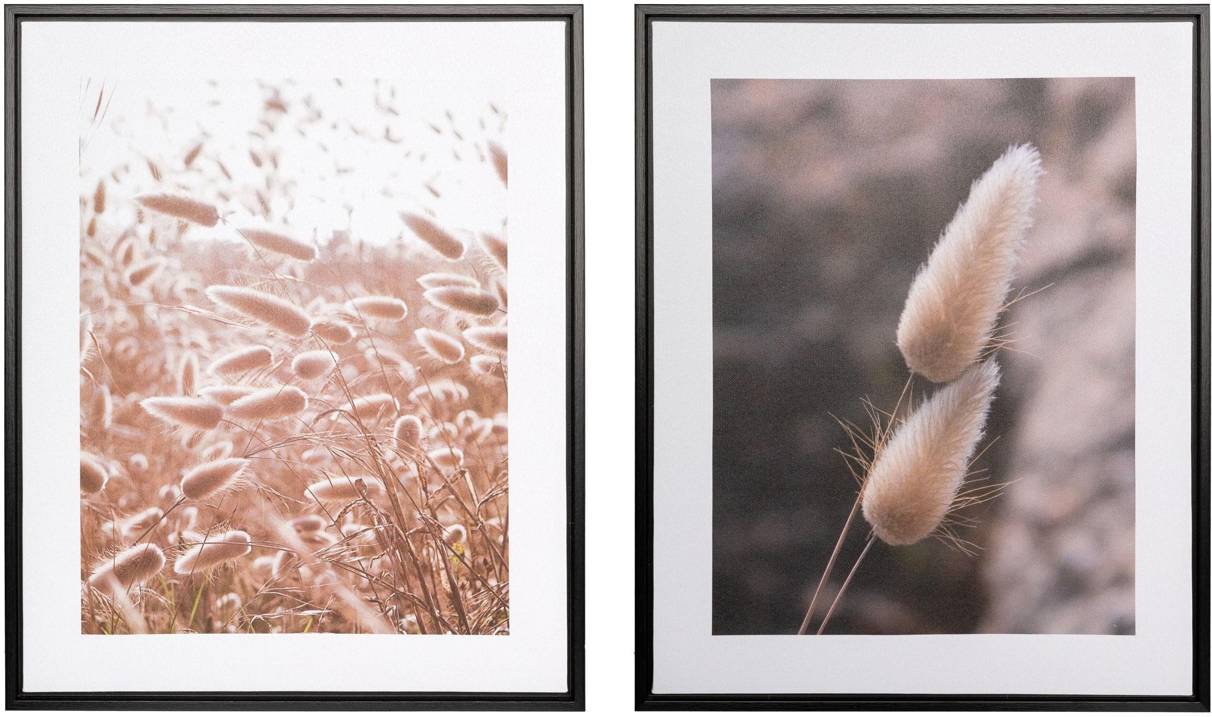 Creativ home Bild mit Rahmen Schilf, 2 St, auf Canvas-Leinwand