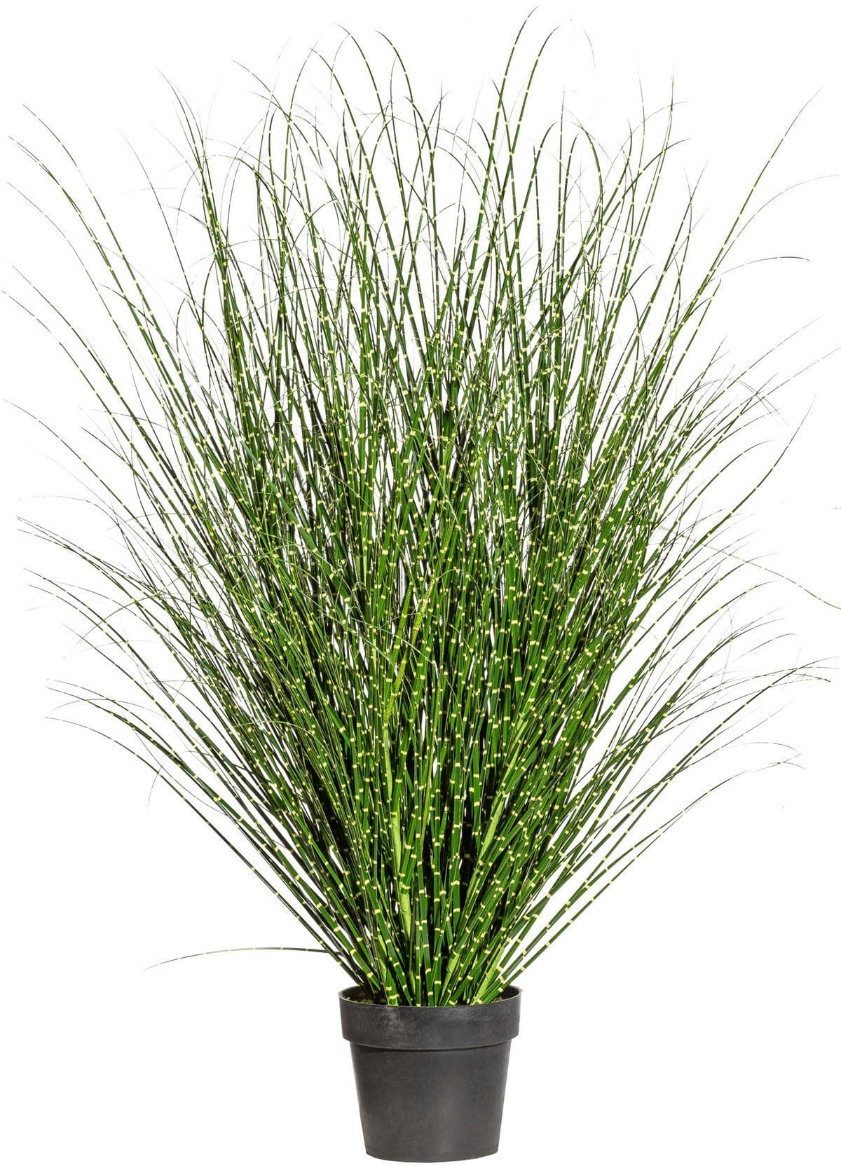 Kunstgras Miscanthus Zebrinus von Creativ Green: Dauerhaftes Grün für Innenräume