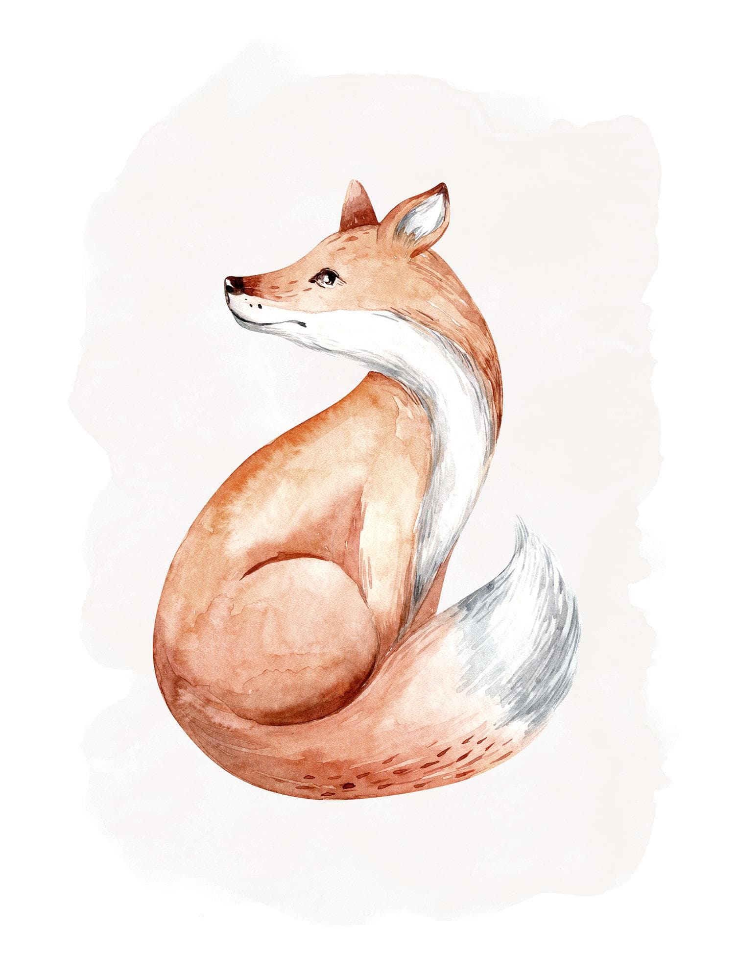 Komar Curious Fox Wandbild Bunt Natur