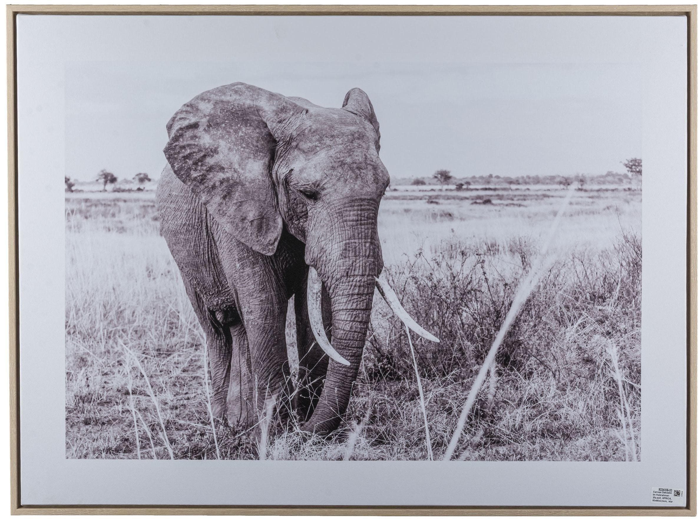 CREATIV HOME Bild mit Rahmen Elefant Schwarz-Weiß Hellbraun