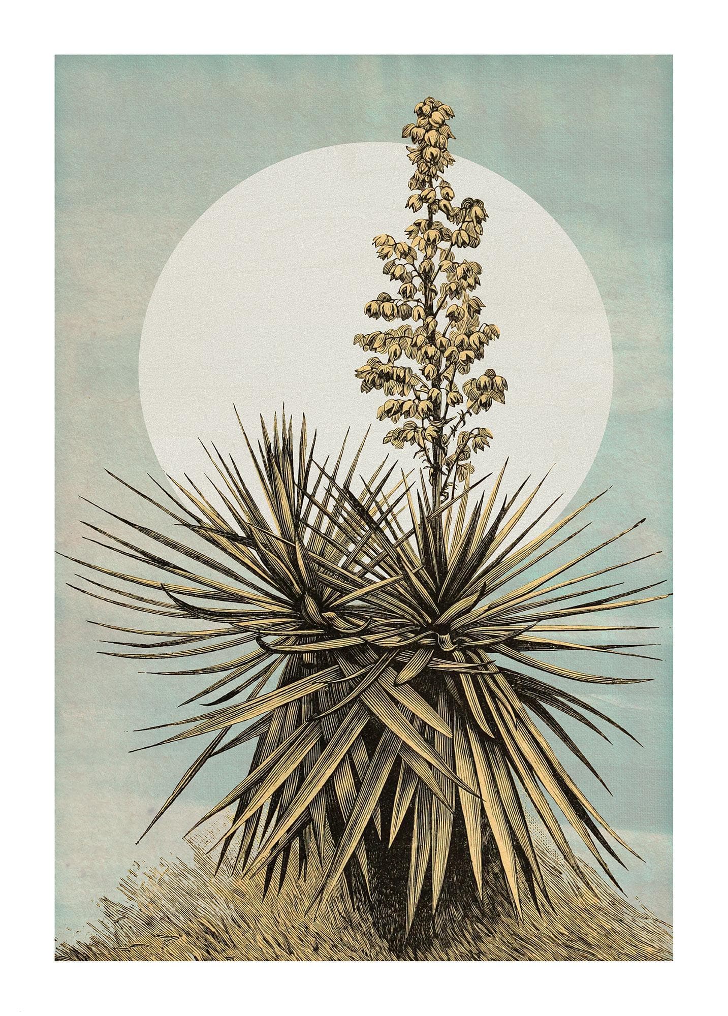 Bild KOMAR "Plans de Lagon" Bunt Wandbild Natur