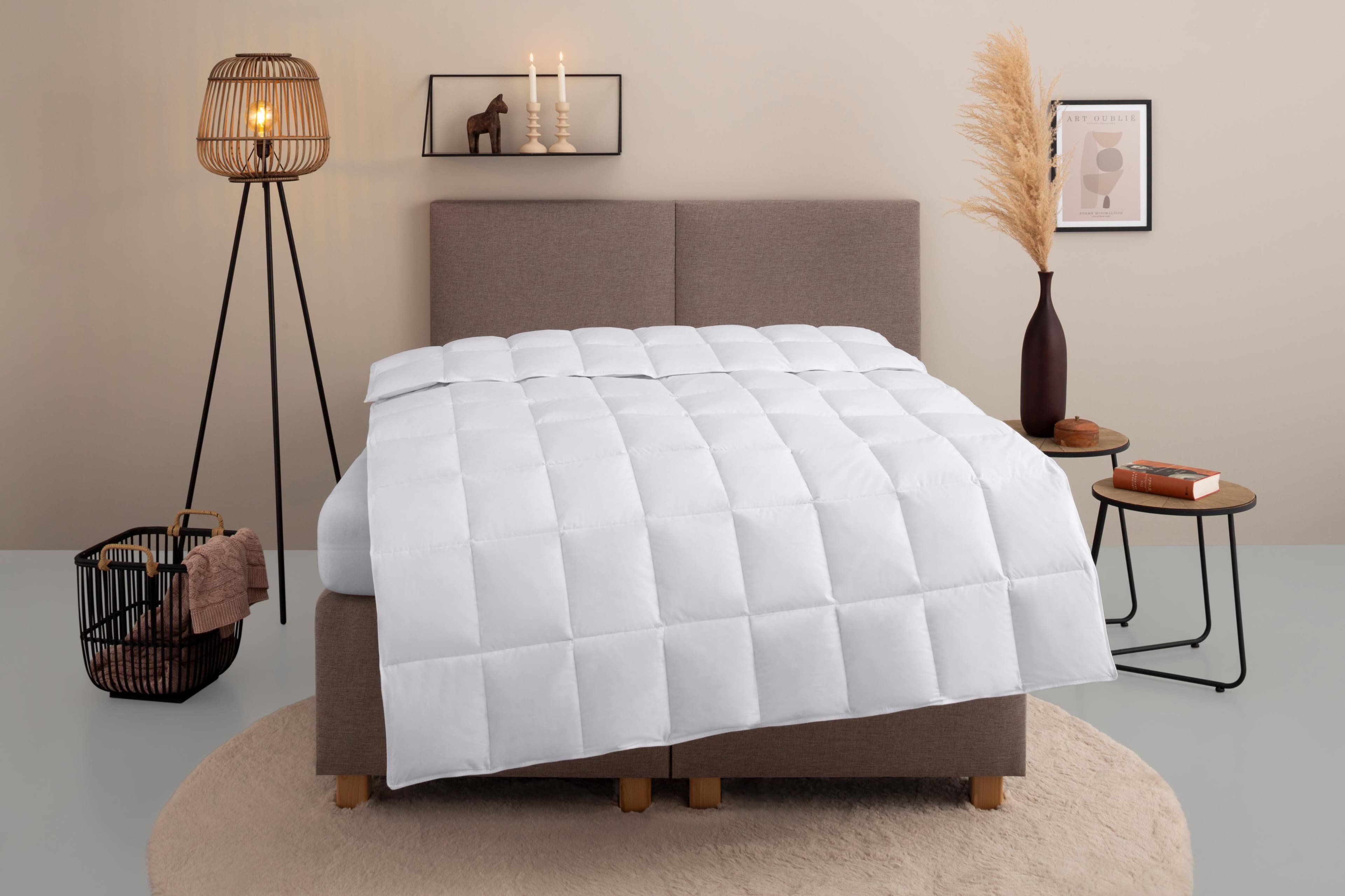 Home Affaire Chevillon Daunenbettdecke: Hochwertige Baumwolle & Allergikerfreundlich