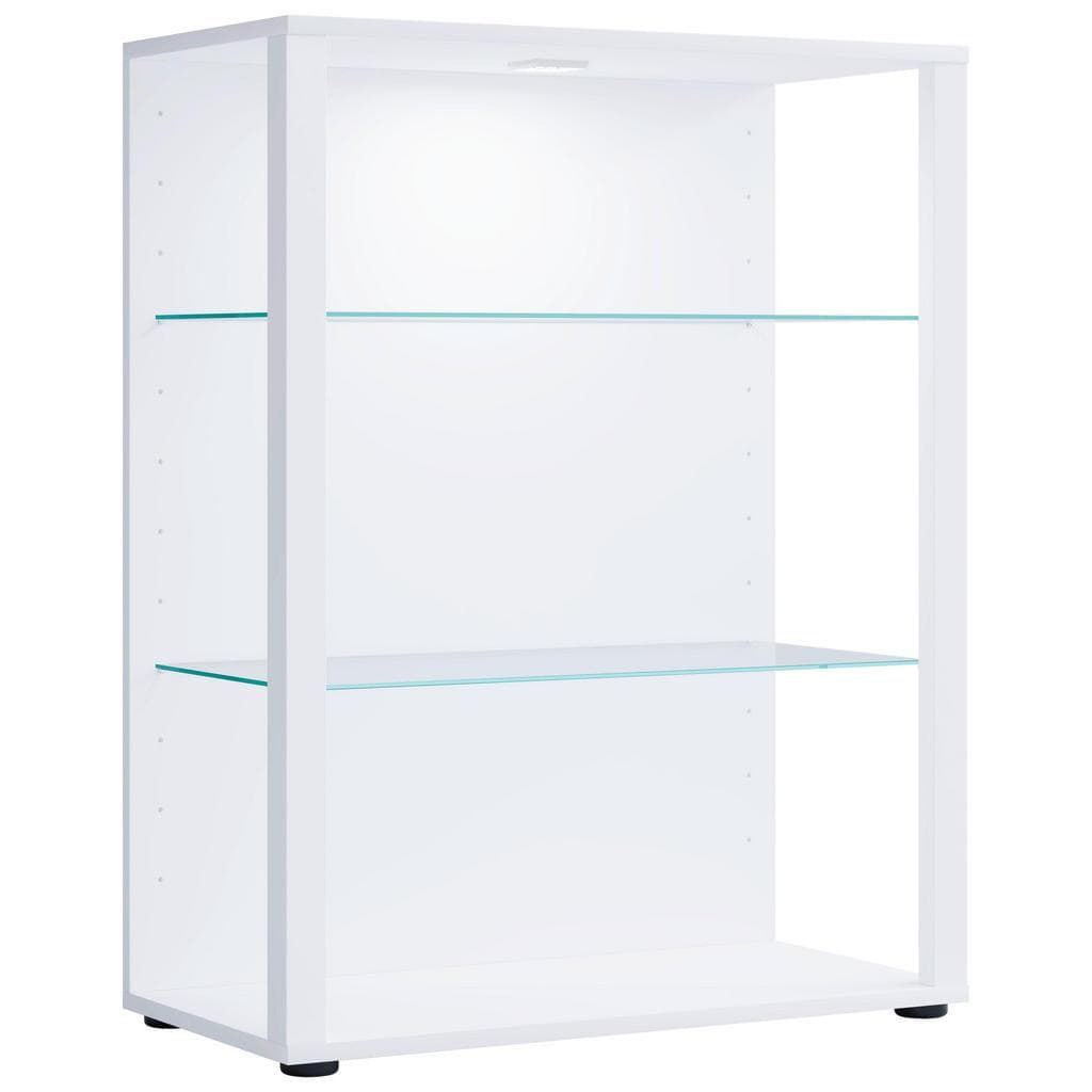 VCM Glasol L Standvitrine Holz Glas - Verstellbare Fachböden