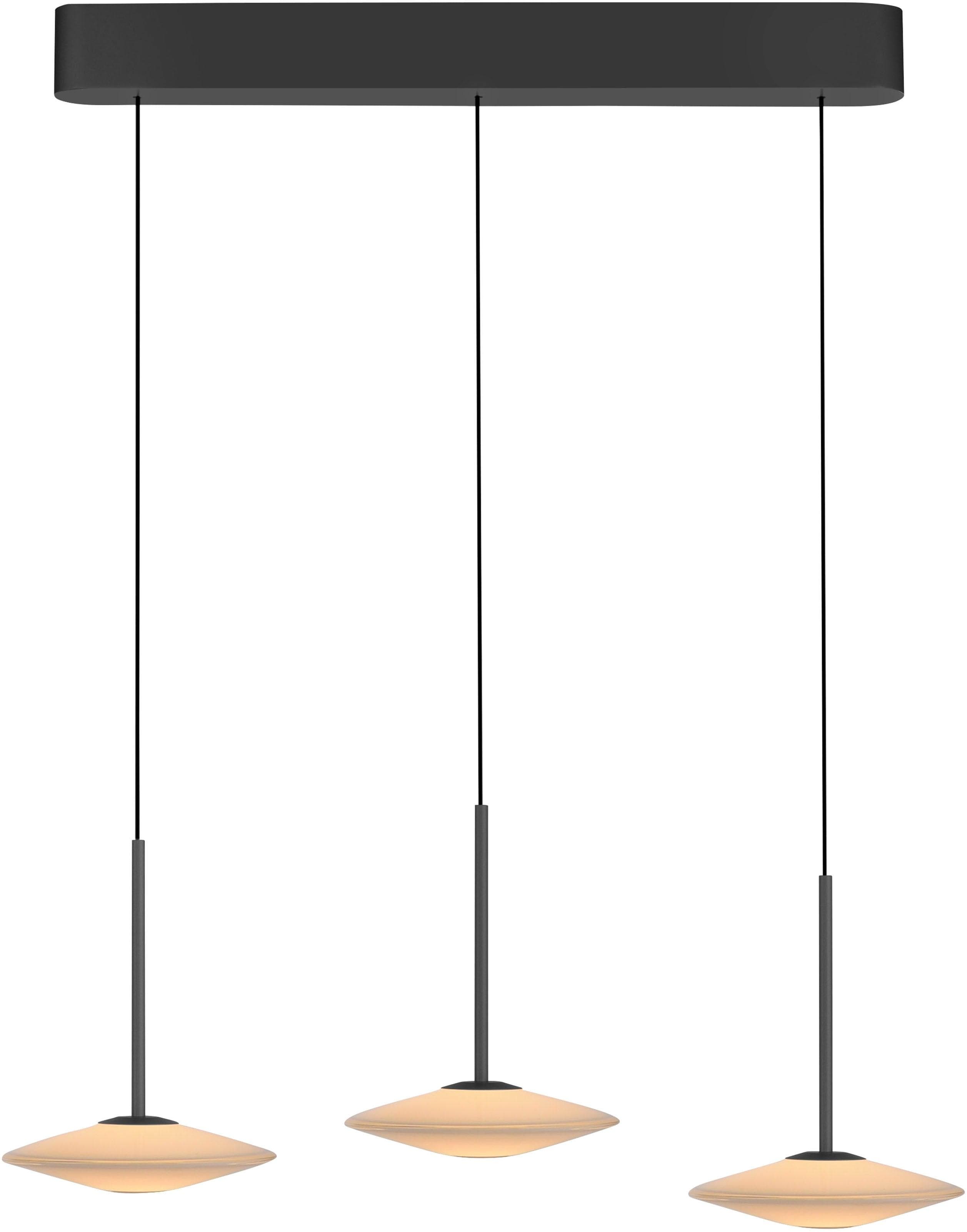 Paul Neuhaus LED-Pendelleuchte Elipsa 3-flg. Weiß/Schwarz