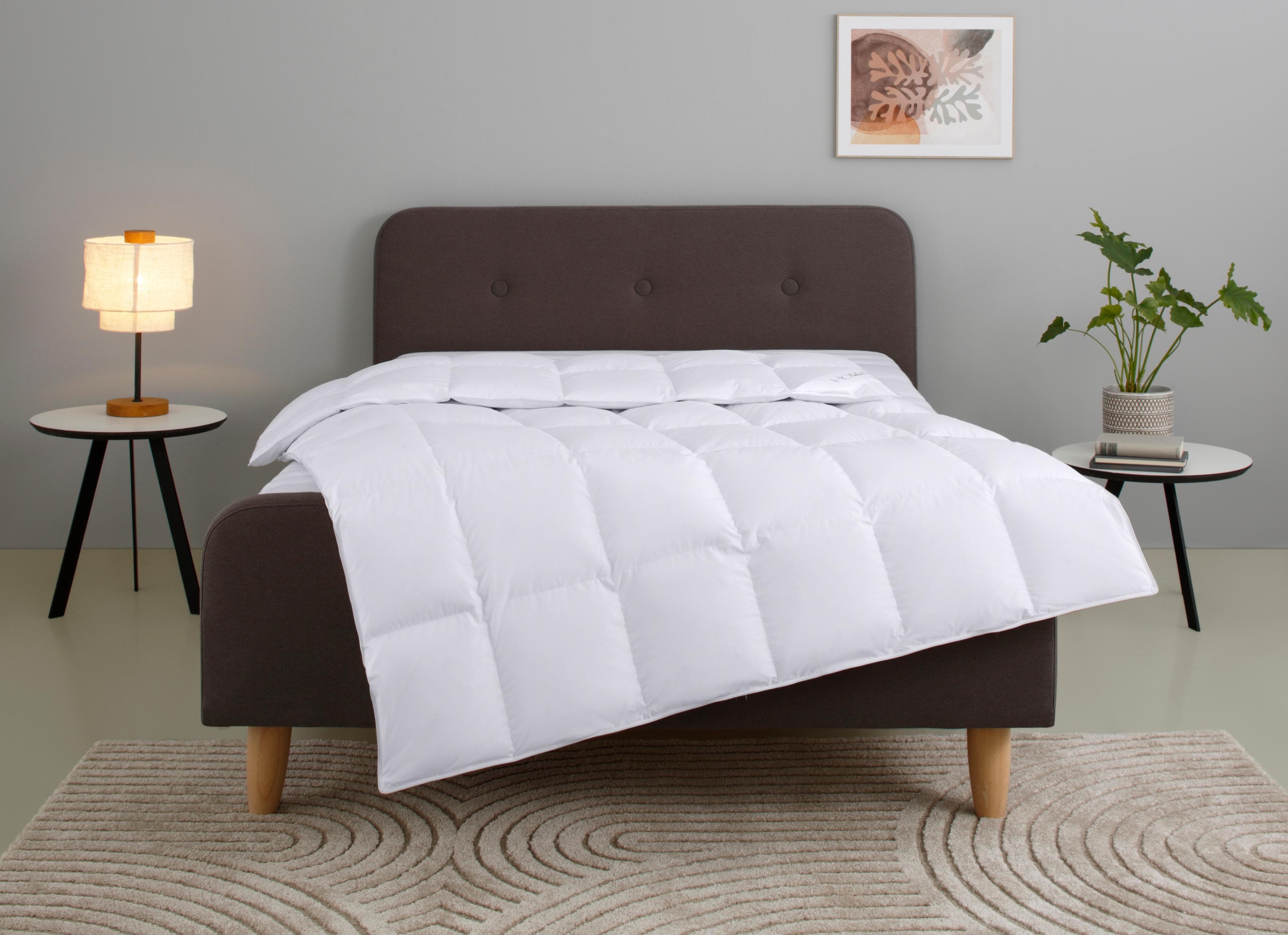 Home Affaire Litrone Daunenbettdecke - Hochwertige Gänsedaunen & Baumwollbezug