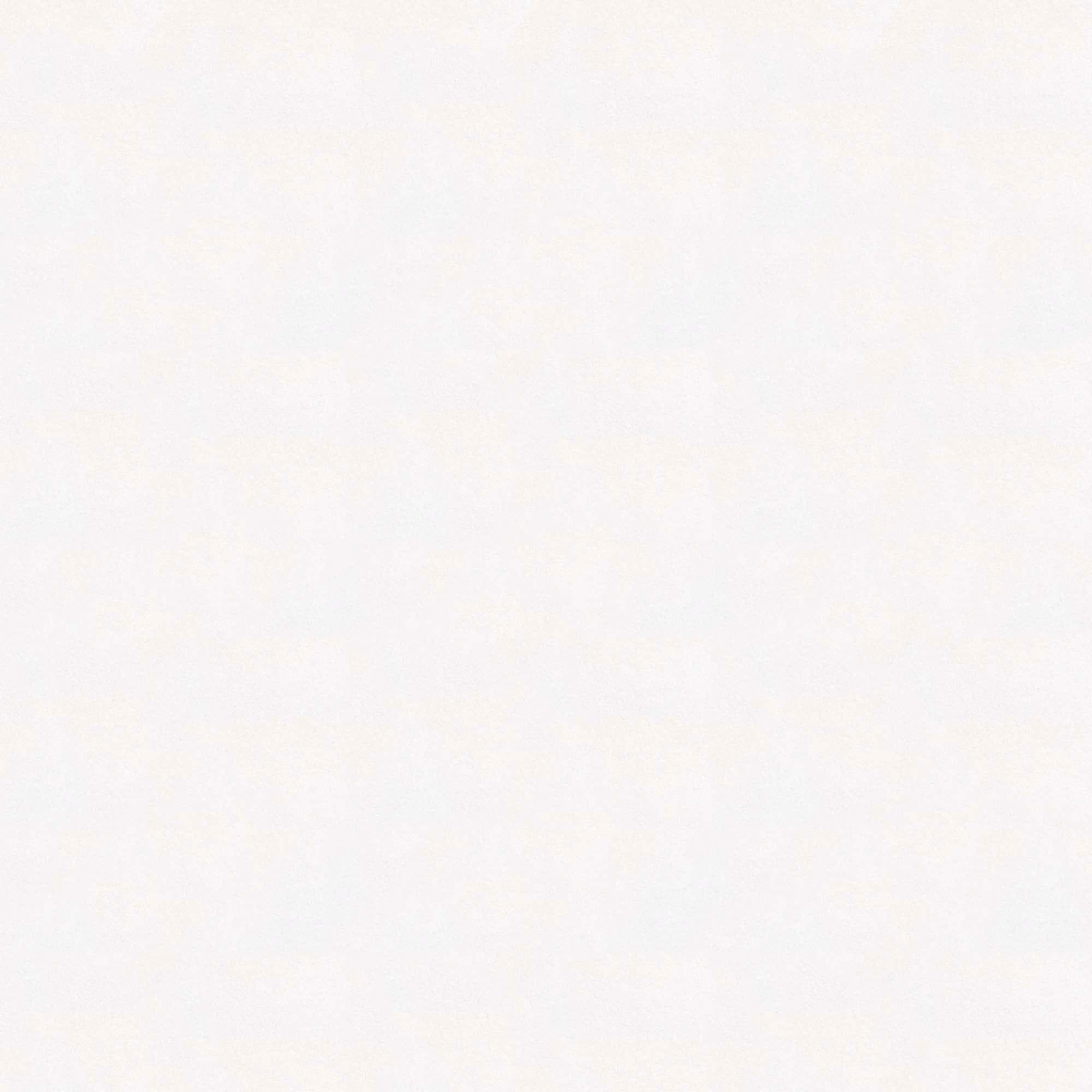 Fresco Renovliestapete Weiss 50mx1m Vlies Premium