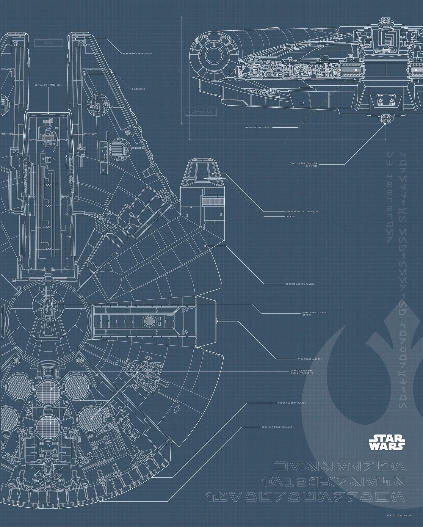 Bild KOMAR Star Wars Blueprint Falcon 40x50cm Schwarz-Weiß