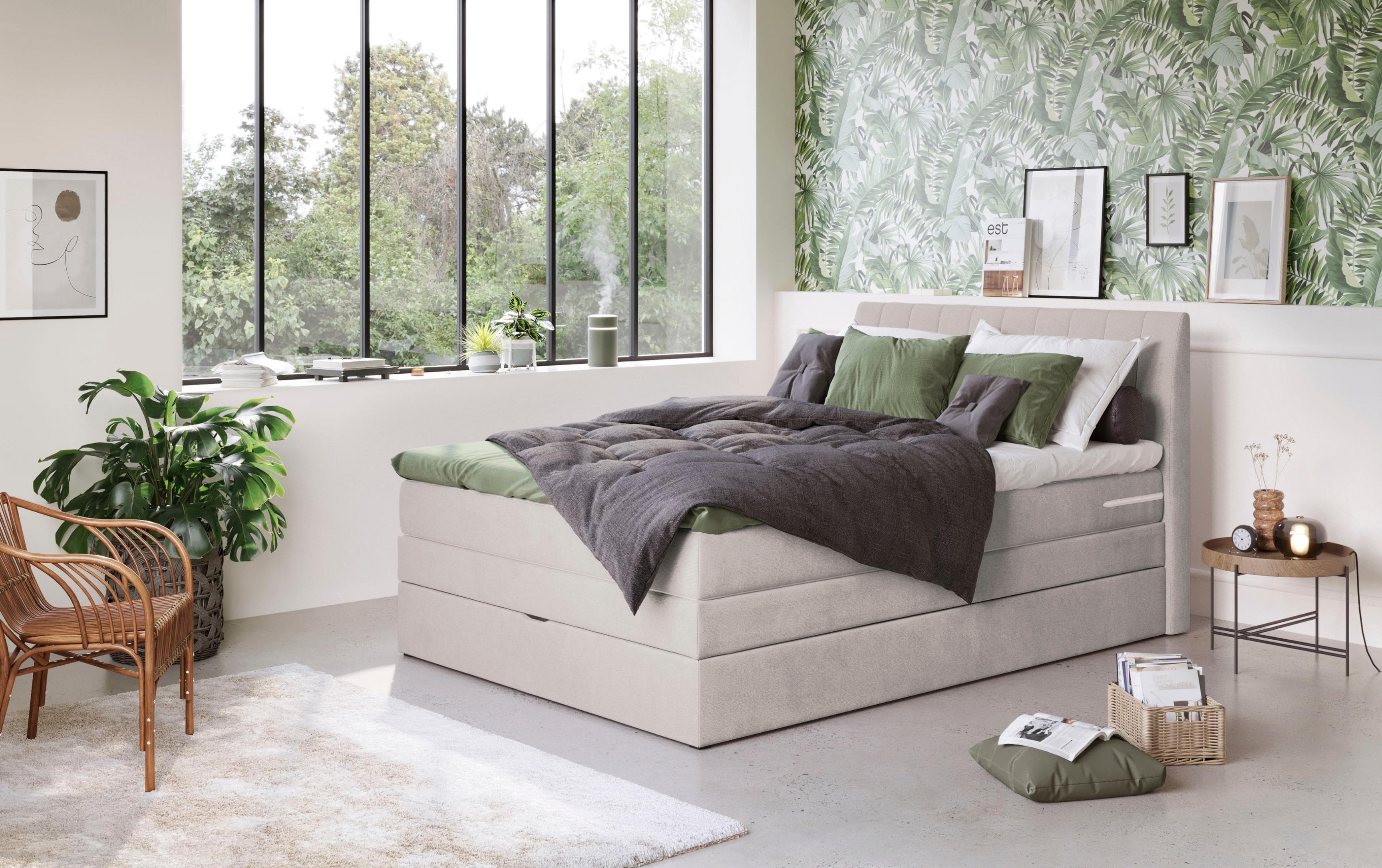 COTTA Shark Boxspringbett mit Bettkasten und Topper