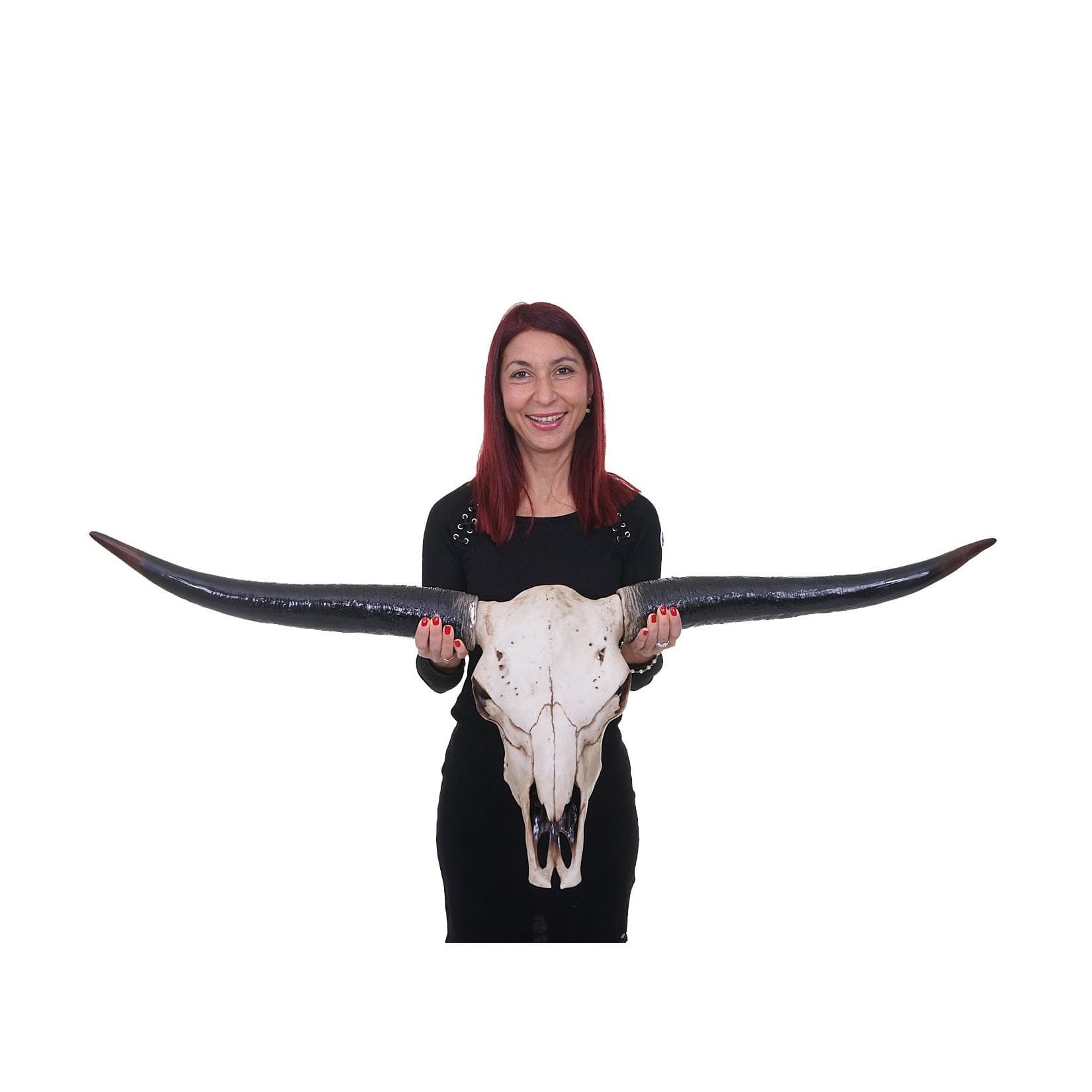 Deko Schädel 132cm MCW-A14 Polyresin Stier Longhorn Kopf Trophäe