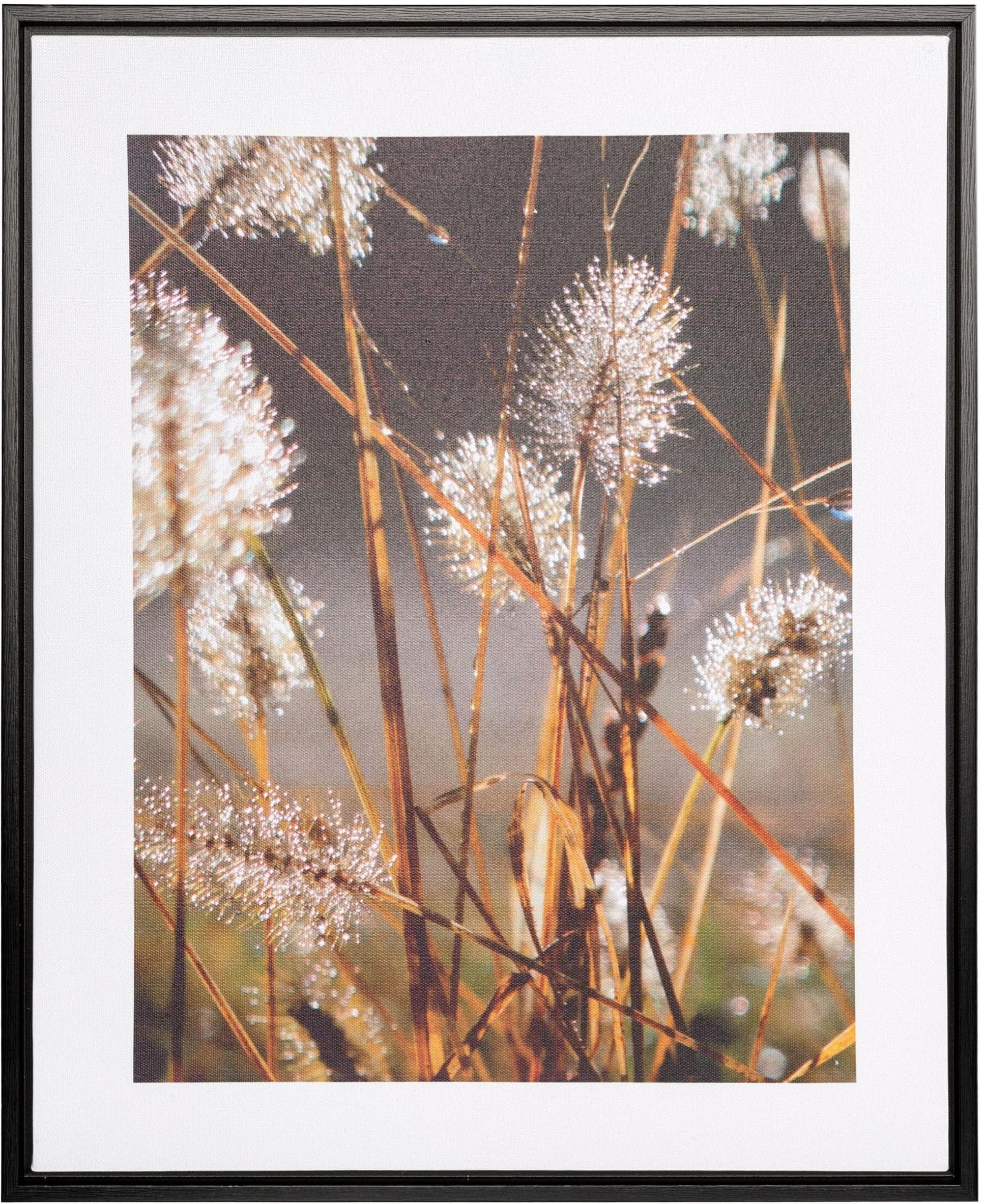 Bild mit Rahmen CREATIV HOME "Leinwandbild Blüten mit Tropfen" Bunt