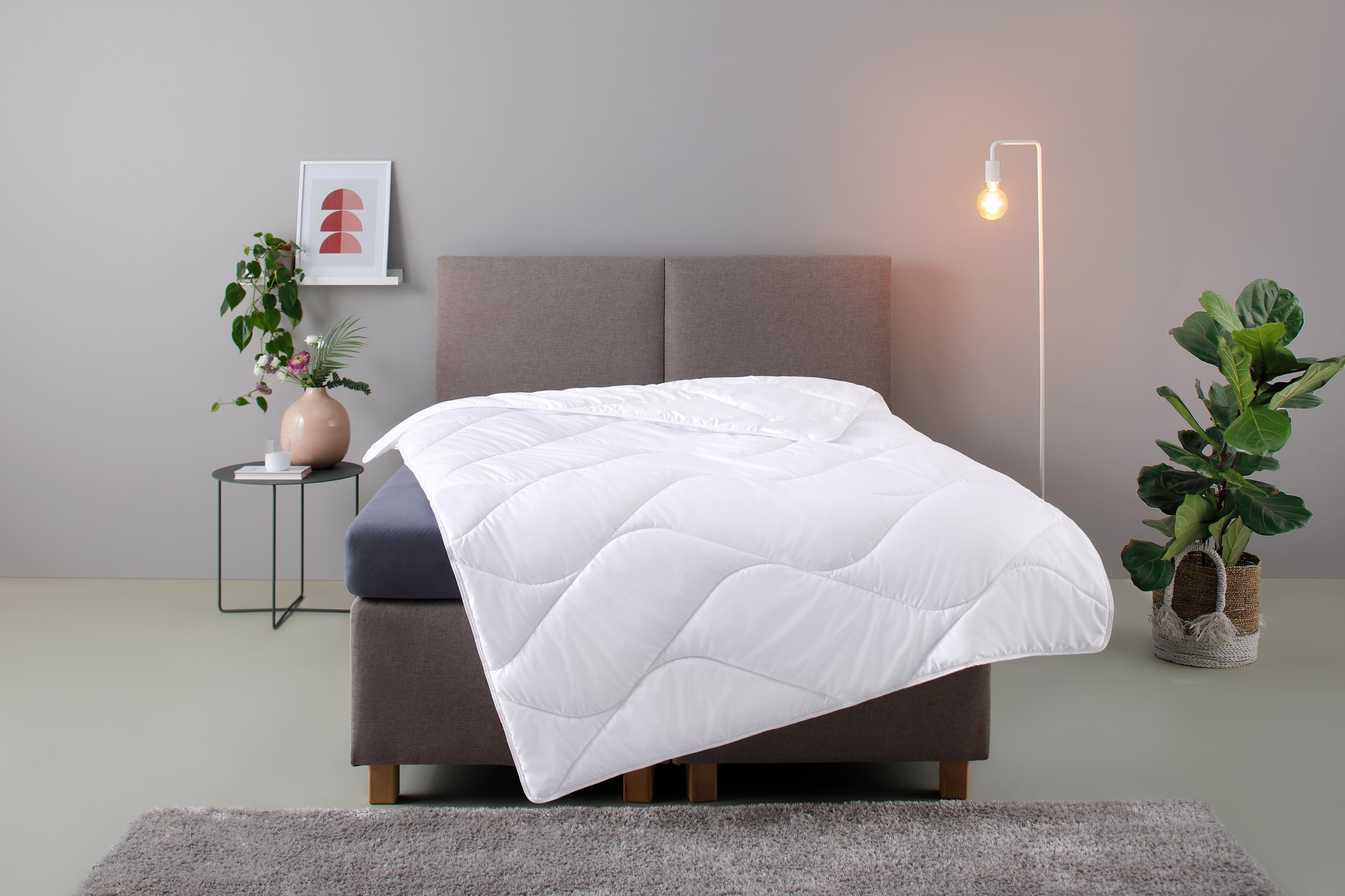 My Home Microfaserbettdecke Fantasy ECO: Nachhaltig & Allergikerfreundlich