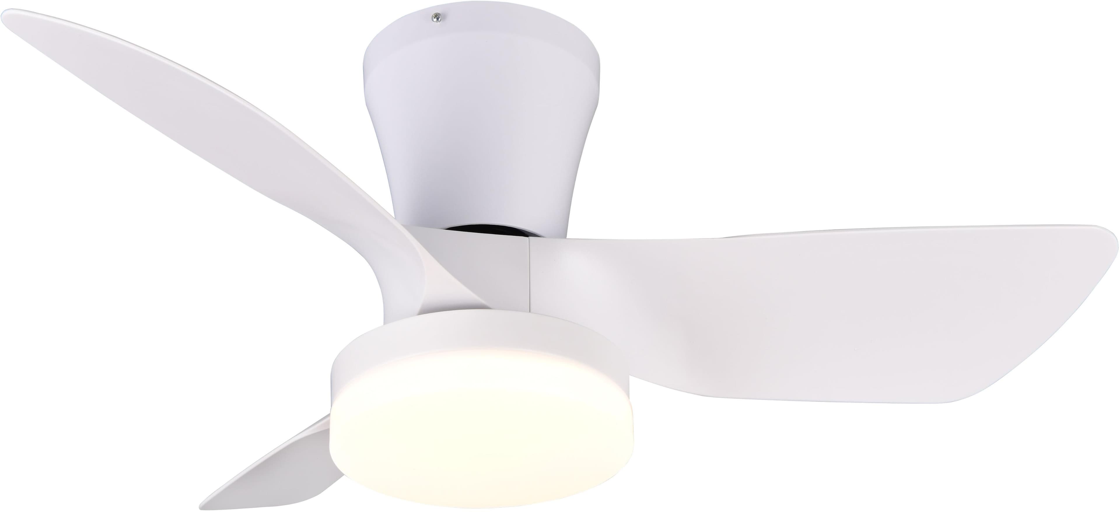 REALITY RANDERS Deckenventilator mit Licht weiß matt 76cm